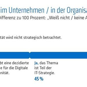 Digitale Souveränität ist laut Unternehmen und Organisationen sehr wichtig und sollte Chefsache sein, dennoch verfolgen nur die wenigsten eine dedizierte Strategie.(Bild:  Handelsblatt Research Institute / Adesso)