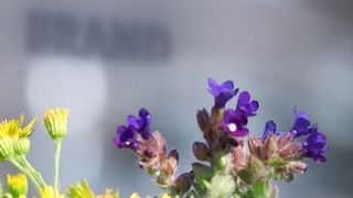 csm-umweltschutz-buehne-421e9d3772 (© 2025 BRAND GMBH + CO KG)