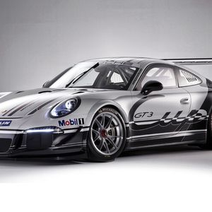 Der 911 GT3: Der 460 PS starke Rennbolide kostet gut 215.000 Euro.