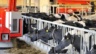 Lely Vector soll Kühe glücklich machten: Mit automatischen Fütterungssystemen und den Lely Astronaut Melkrobotern bekommen Milchkühe das Rundum-Sorglos-Paket. (Lely)