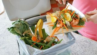 Die Chemieindustrie steht in den Startlöchern für einen breiten Einsatz der kompostierbaren Beutel. Doch es gibt noch ein gewisses Diskussionspotenzial sowie Irrmeinungen, welche die breitflächige Einführung dieser „Umweltschoner“ verzögern. (BASF)