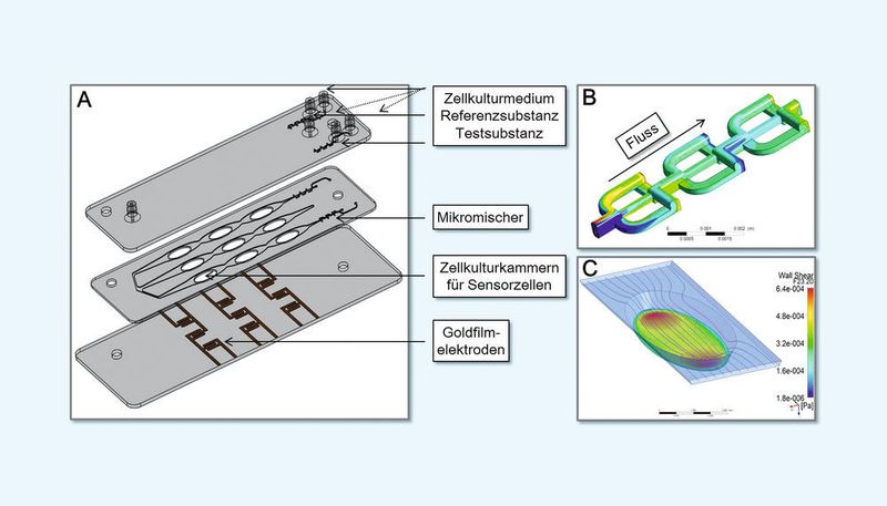 Abb. 5: Schema des A) Dreilagen-Chip-Systems mit B) Mikromischer und C) Simulation der Scherstress-Verhältnisse in den Zellreservoiren (Bild: Ernst-Abbe-Hochschule Jena)