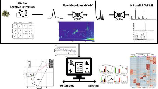 Abb. 2: Schematischer Ablauf der  neuen Methode  zur Bestimmung pflanzlicher Metobolite(Bild:  Falvio A. Franchina, Lea M. Dubois und Jean-François Focant: Analytical Chemistry 92 (2020) [6])