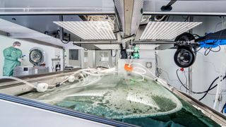 Greenovation hat sich zum Ziel gesetzt, die Produktion von hoch effizienten Glykoproteinen für die Behandlung von seltenen Erkrankungen zu optimieren. (Greenovation)