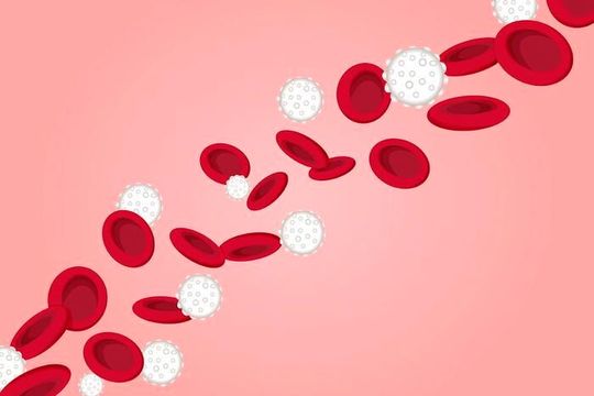 A new study led by WashU Medicine researchers shows that, for blood cancer patients, a genetically engineered stem cell transplant helps prevent toxic side effects and potentially improves the effectiveness of therapies. (Source:  Sara Moser/ Washu Medicine)