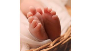 Faszination „Wunder des Lebens“ – wie wird aus einer einzelnen befruchteten Eizelle ein kleiner Mensch mit so unterschiedlichen Strukturen wie Haut, Leber oder Herz? (gemeinfrei)