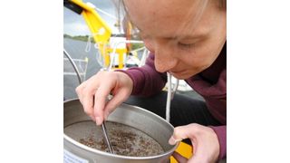 Für Forschungszwecke im Verbundprojekt NOAH fuhr Prof. Dr. habil. Gesine Witt bereits auf der Aldebaran mit ihrem Forschungsteam. (Bild: Albebaran/Niklas Felix Tomczak)