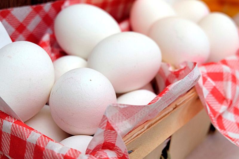 Eating one egg per day for at least five days a week reduces risk of Alzheimer’s by up to 27%, researchers found.(Source:  free licensed /  Pixabay)
