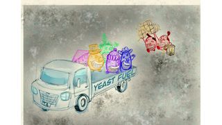 The similar composition of vegetable oils to lipids makes this type of yeast a possible alternative to petroleum diesel fuel. (Source: Kyoto U Jake Tobiyama/ Ayumi Tanimura)