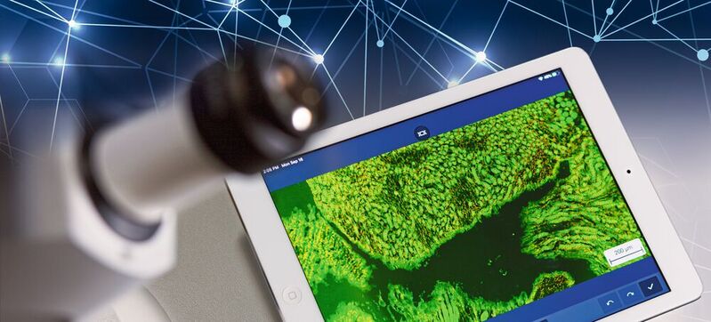 DIe Imaging App Labscope verwandelt ein Zeiss Mikroskop mit geeigneter HD-Kamera in ein WiFi-fähiges Imaging-System.