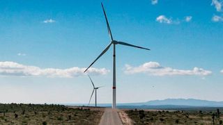 In Mexiko wird CO2-neutraler Strom durch Windkraft erzeugt. (Robert Bosch GmbH)