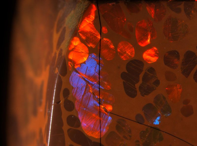 Opal in Äthiopien gefunden. Der Edelopal ist aufgrund seines auffälligen Farbenspiels von Spektralfarben ein begehrter Edelstein. Dieses Farbenspiel entsteht durch den submikroskopischen Aufbau von Opal durch SiO2-Kügelchen in der Grösse der Wellenlängen von sichtbarem Licht. Bei homogener Grösse dieser Kügelchen und deren regelmässiger Anordnung einsteht eine Struktur, die durch Diffraktion weisses Licht in die Spektralfarben aufspaltet. Bildhöhe: ca. 12 mm, Auflicht (Glasfaser), HDRI-Tonemapping, Leica MZ16 Stereomikroskop (Michael Hügi, Schweizerisches Gemmologisches Institut)