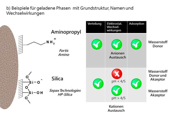 Abb.3b) Schema für geladene Phasen mit Beispielen zu Grundstruktur, Namen und Wechselwirkungen(Bild:  AFIN-TS)