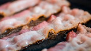 Over time, certain neurons seem to desensitise to high fat food. (Source: free licensed)