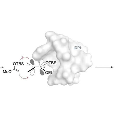 Die Abbildung zeigt die katalytische asymmetrische Addition eines Silylketenacetals an ein in situ erzeugtes Silylnitroniumion.  (Bild: Max-Planck-Institut für Kohlenforschung)