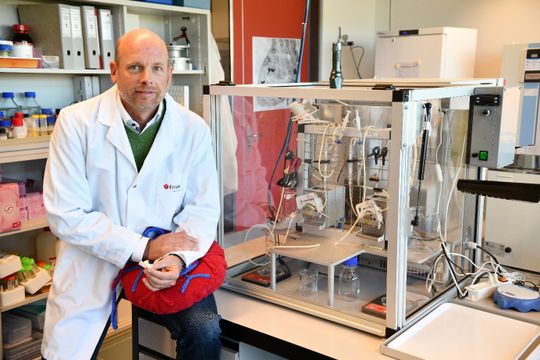 Der Empa-Forscher Peter Wick hat sich mit seinem Team dem Safe-and-Sustainable-by-Design von Graphen gewidmet.(Bild:  Empa)