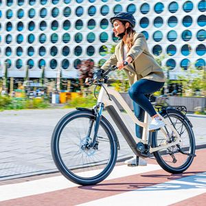 Die ersten Pedelec-Modelle werden in den kommenden Monaten erwartet.(Bild:  Yamaha)