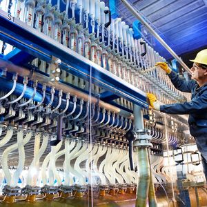 Covestro-Mitarbeiter in der Chlorproduktion (Bild: Covestro)