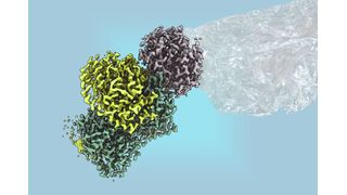 Mit einem bakteriellen Enzym könnte man zukünftig Plastik nachhaltig erzeugen. (Bild: Max-Planck für terrestrische Mikrobiologie/Geisel)