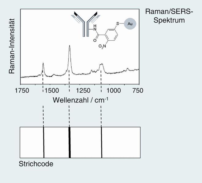 Abb. 3 Raman/SERS-Spektrum eines Raman/SERS-markierten Antikörpers (oben) und die entsprechende Strichcode-Darstellung (unten). Die dominanten Raman-Banden lassen sich Schwingungen der Nitrogruppe und des Benzolringes zuordnen. Im Strichcode sind Position und Intensität der Raman-Banden als Strichspektrum kodiert dargestellt. Aufgrund der geringen Anzahl von Raman-Banden/Strichcode-Linien können viele Marker parallel nebeneinander detektiert werden. (Archiv: Vogel Business Media)