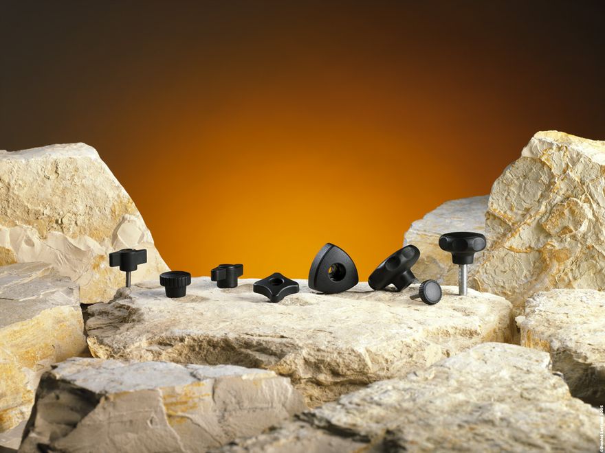 Picture-271-copie.jpg ()