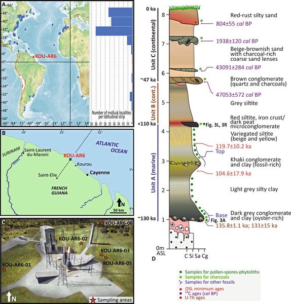 Karte (A) der mittel- und spätpleistozänen marinen Molluskenlokalitäten. Probenahmestellen (B-C) bei der Ariane 6-Startrampe. Zusammengesetzter stratigraphischer Abschnitt (D) in Kourou, Französisch-Guayana, mit sedimentologischen Beschreibungen.  (Bild: Pierre-Olivier Antoine)