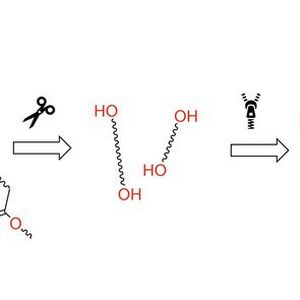 Abb. 4: Upcycling von Polyestern zu Polyethern(Bild:  LIKAT)