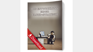 Whitepaper Cover: pixabay_despaired-2261021