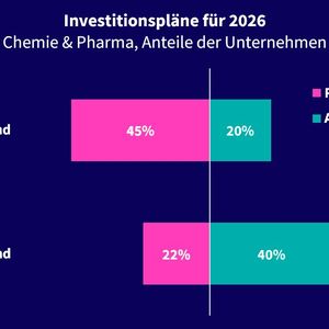 45 % der VCI-Mitgliedsunternehmen rechnen mit sinkenden Investitionen in Deutschland.(Bild:  VCI)