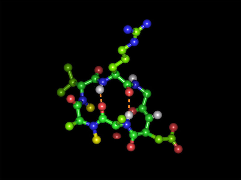 Cyclisches Hexapeptid in seiner bioaktiven Form mit der Integrin-bindenden Tripeptidsequenz Arginin-Glycin-Asparaginsäure  (© Michael Weinmueller / TUM )