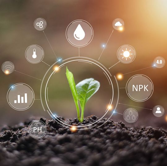 Welchen Einfluss haben Temperatur, Feuchtigkeit und Licht? Für die Saatgutzüchtung ist viel Forschung in Testklimakammern erforderlich. Jumo unterstützt mit Produkten und Know-how bei der Optimierung der Anlagen und Prozesse – für eine energieeffiziente und nachhaltige Gemüsezucht. Welchen Einfluss haben Temperatur, Feuchtigkeit und Licht? Für die Saatgutzüchtung ist viel Forschung in Testklimakammern erforderlich. Jumo unterstützt mit Produkten und Know-how bei der Optimierung der Anlagen und Prozesse – für eine energieeffiziente und nachhaltige Gemüsezucht.