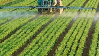 The project is part of the Government of India's efforts to increase domestic urea capacity for fertiliser production, reducing India's reliance on imported urea and fertiliser. (Deposit Photos )