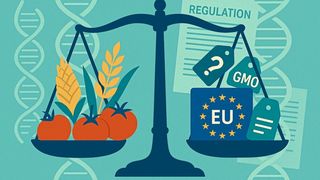 El Parlamento Europeo tiene previsto flexibilizar la normativa sobre el etiquetado obligatorio de los alimentos modificados genéticamente. Aquí puede leer qué implicaciones tiene esto para los consumidores, los agricultores y la seguridad del suministro alimentario. (Imagen:GPT Image Editor / Generado por IA)
