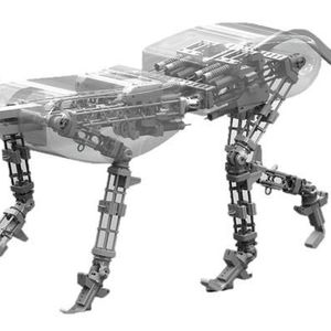 (Bild: ETH Zürich, Hung Q. VU)