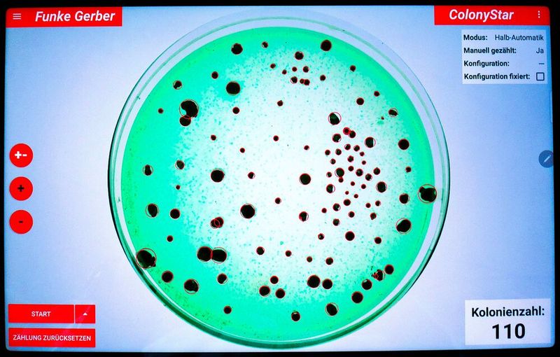 The display is clear and you can switch between the different modes easily via the touchscreen. The image file can also be saved after the count is complete. (Source: Funke-Dr. N. Gerber Labortechnik )
