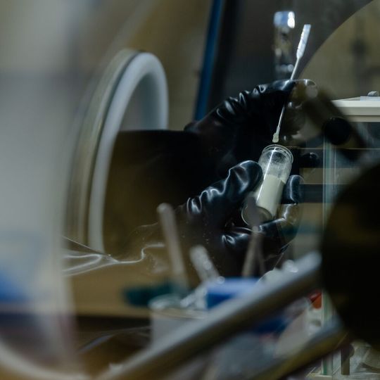 Die Verbindungen werden in einer sogenannten Glovebox verarbeitet, um Luft und Feuchtigkeit auszuschließen. Die Verbindungen werden in einer sogenannten Glovebox verarbeitet, um Luft und Feuchtigkeit auszuschließen.