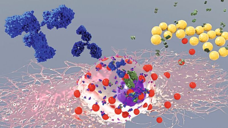 Künstlerische 3D Darstellung einer Mastzelle mit IgE Antikörpern und Staphylococcus aureus Bakterien