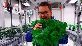 Ingenieur und Antarktis-Gärtner Paul Zabel vom DLR-Institut für Raumfahrtsysteme freut sich über die erste Gemüseernte im Gewächshaus und über den positiven Verlauf der Expedition. (EDEN ISS / DLR / CC BY 3.0)