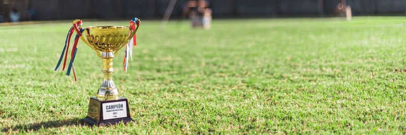 Insgesamt 28 Trophäen konnten beim diesjährigen BoB Award 2022 verliehen werden. Insgesamt 28 Trophäen konnten beim diesjährigen BoB Award 2022 verliehen werden.