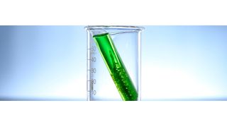 Für eine nachhaltige Wirtschaft von morgen braucht es heute einen Schulterschluss von Industrie, Politik und Gesellschaft. (Bild: gemeinfrei)