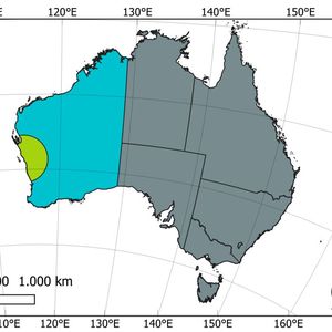 Die untersuchte Region in Westaustralien könnte bei vollem Ausbau eine theoretische Wasserstoffproduktion von 185 Millionen Tonnen pro Jahr (Mtpa) aus Solarenergie und 105 Mtpa aus Windenergie bereitstellen.(Bild:  Fraunhofer ISE)