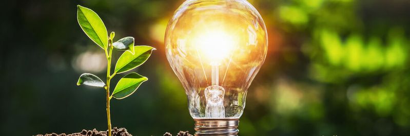 Newly installed photovoltaic capacity was in the double digits for the first time, amounting to around 14 gigawatts for 2023.(Source:  lovelyday12 - stock.adobe.com)