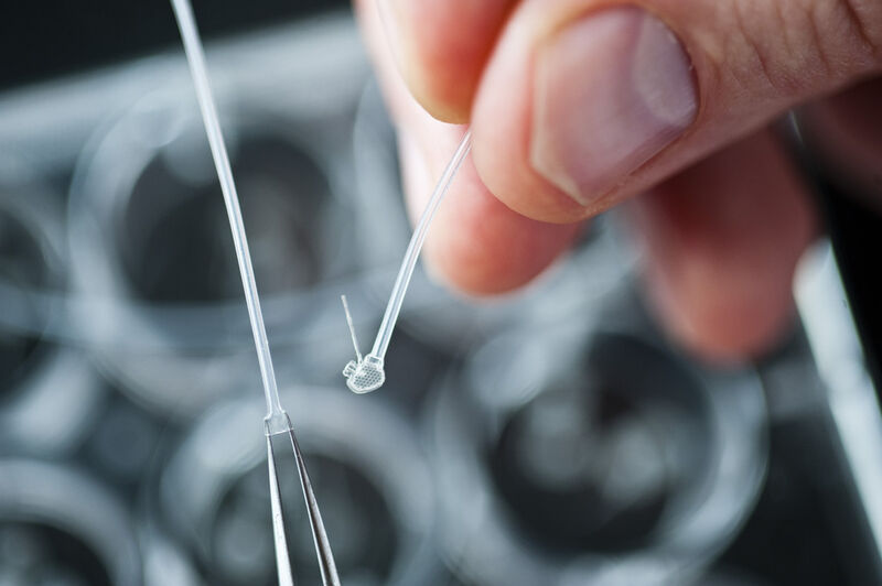 Ein ellipsenförmiges Implantat fungiert als Verbindungselement für verletztes oder durchtrenntes Rückenmark und könnte so Querschnittgelähmte heilen. (Bild: TUHH/Dörte Hagenguth)