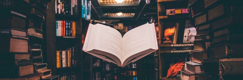 Was lange währt, wird endlich klar: Machine Learning hilft bei der Identifikation, wer an Shakespeares Heinrich VIII beteiligt war.(Bild:  Jaredd Craig / Unsplash)