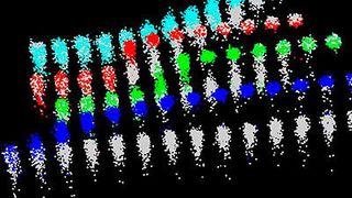 Zellen mit Proteinpaaren speichern langfristig Informationen (blau). Zellen mit nur einzelnen Proteinen speichern keine Informationen (rot und hellblau). (Ausschnitt) (Universität Basel, Biozentrum)