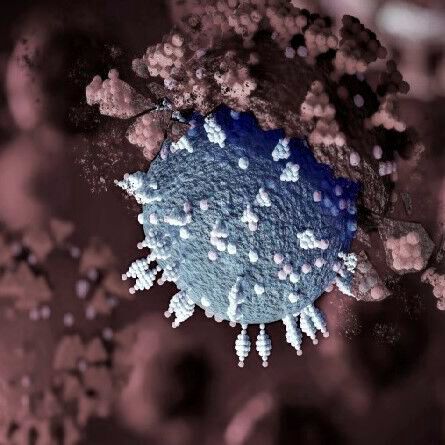 Das Covid-19-Virus kann Erkrankte auch zu Long-Covid-Patienten werden lassen. Das hat Auswirkungen auf die Fehlzeiten im Betrieb. Doch wie viele sind wirklich davon betroffen? Hier ein Lagebericht.(Bild:  K. Lindensam)