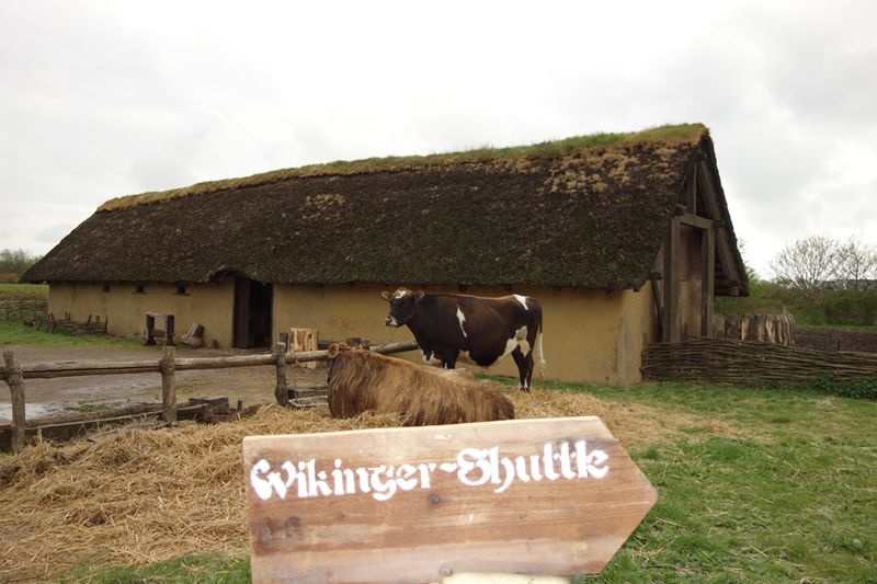 Den Wikinger Shuttle wollte dann doch keiner nehmen (IT-BUSINESS)