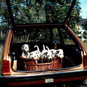 Große Klappe, viel dahinter: Der Ford Fiesta zählte in den 70ern zu den variabelsten und geräumigsten kleinen Dreitürern. Er wurde ab dem 11. Mai 1976 als Fünfsitzer oder als Kleinlieferwagen gebaut. Die verschiedenen Varianten waren mit 1,0-, 1,1-, 1,3- und 1,6-Liter-Ottomotoren und Vierganggetriebe erhältlich. Die angetriebenen Vorderräder des Fiesta waren einzeln an MacPherson-Federbeinen und Querlenkern aufgehängt, die starre Hinterachse führten zwei Längslenker, ein Panhardstab und die Stoßdämpfer, die das Bremsreaktionsmoment aufnahmen. (Bild:  Ford AG)