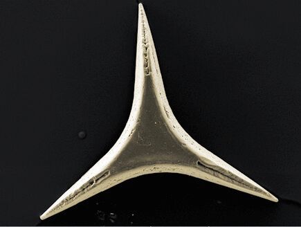 Der Spitzen des Sterns erzeugt unbedenkliche Mikro-Öffnungen in der Haut, die sich nach kurzer Zeit wieder verschließen. (Bild:  Empa)