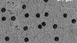 Abb. 1: Rasterelektronenmikroskopische Aufnahme der Oberfläche der Polymerfolie mit Nanoporen. (TU Darmstadt)